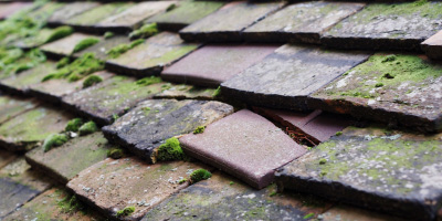 Llangeler roof repair costs